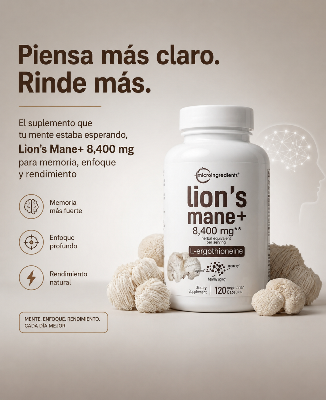 LION'S MANE.CM